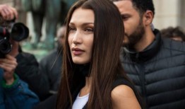 感谢贝拉·哈迪德对巴勒斯坦事业坚定不移的承诺