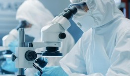 新技术实现了微创、高分辨率的大脑活动记录