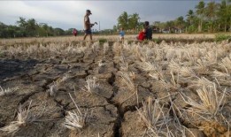 伊斯兰银行向世卫组织捐赠1000万美元用于医疗保健和气候解决方案