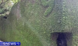 墨尔本房主与地方议会陷入“玩笑式”对冲战