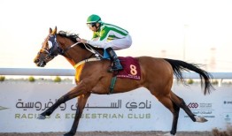 黄金风暴为瓦迪阿尔赛欧杯的胜利