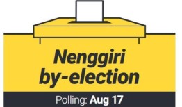 能吉里民意调查：Teo告诉选民，要警惕人工智能生成的虚假内容