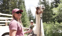 百年退休社区的居民们为赛船会的回归而兴奋不已