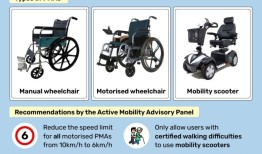 医疗备忘录，降低速度限制的建议，以防止滥用个人行动不便的人健全的人