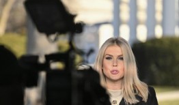 特朗普：美国逮捕，驱逐数百名“非法移民”