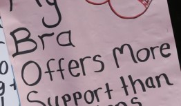 新南威尔士州的护士称，她们在抗议加薪时遭到了司机的辱骂