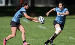 爱尔兰队支持黑蕨队击败重量级加拿大队