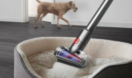 显示灰尘的宠物真空吸尘器：戴森V15绝对检测