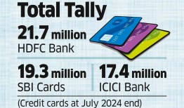 该银行乐观地认为，节日季将提振信用卡业务。截至7月底，该国未偿还信用卡总数为1.045亿张。