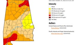 阿拉巴马州的11个县因干旱被美国农业部列为主要灾害