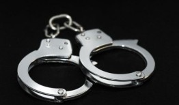 阿拉巴马州的看护人被控虐待儿童，据称他在制止斗殴时电击了男孩