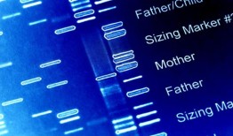 马萨诸塞大学阿默斯特分校的科学家因对内分泌干扰物问题的研究获得2016年珍珠奖