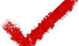 快速检查：在沙巴州重新发现了一种蟾蜍吗？