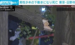 唐吉诃德进入低成本SIM卡市场