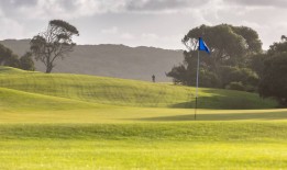 我们的城市再也承受不起这种放纵了