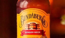 受人喜爱的澳大利亚偶像班达伯格饮酒者去世