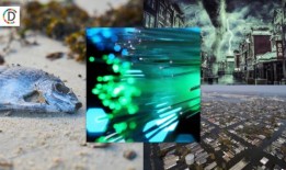 日本发生强烈地震，居民撤离海岸