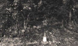 警方发誓要在女子死亡40周年之际抓住凶手