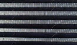 6月13日星期四的现货市场电价