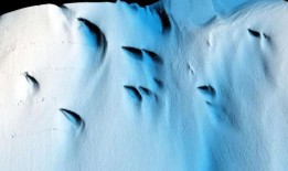 “RAN”机器人揭示了南极冰盖下存在的“未知”世界它是这样的