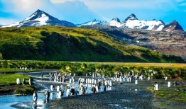 这个美丽的岛屿属于英国，距离这里8000英里，是企鹅和火山的家园