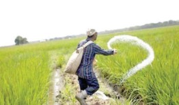 主要化肥生产商FFBL、FFC探讨合并可能性