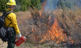 脸书故障后，阿拉巴马州一家机构警告说：“请不要触摸明亮的热点