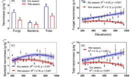 altitude,在自然界中，aliude是指海拔高度或高程，通常用于描述地形地貌和地理位置