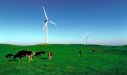 “时间紧迫”：各地区需要在清洁能源领域拥有发言权