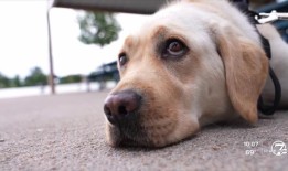 据称，丹佛警方官员开玩笑说要去避难所进行“打靶练习”