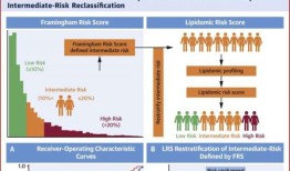 重新分类心脏病风险和减少心脏病发作的新工具