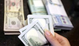 今年5月，外国公司向海外的汇款达到创纪录的9.181亿美元