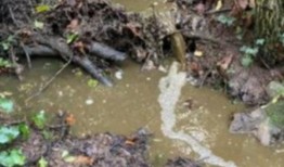 萨默塞特的农民一再允许泥浆污染附近的溪流