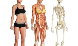 研究人员对Usher综合征的病理有了新的认识