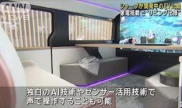 东京路出现大地陷