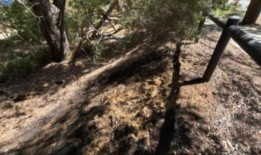 罗金厄姆森林大火：周三晚上，纵火小组正在调查四起可疑的森林大火的原因