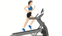 在冻干长毛象遗骸中保存了52000年的3D DNA