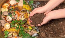 盛宴的信仰，而不是浪费