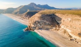 来自阿尔梅里亚的新闻汇总