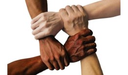 立场文件支持在临床算法中纳入种族和民族