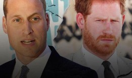 哈里王子、梅根·马克尔对威廉的现代君主制愿景构成了重大威胁