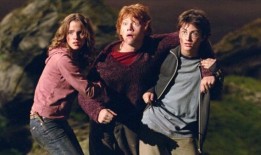 HBO的《哈利波特》开始选角，呼吁“包容、多元化”的演员