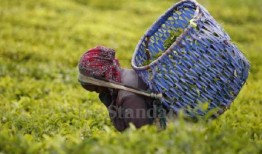 妇女在再生农业、增长中的关键作用