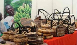 斯特拉斯莫尔提出建立农业数据中心以促进小规模生产者