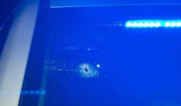 胡佛的枪击事件引发了警察的追捕，最终在格鲁吉亚发生了枪战;嫌疑人受伤