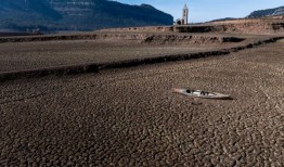 世界环境日：该活动的历史和今年的主题