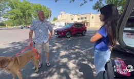 从采石场大火中获救的露西猫：“我们在这里经历的象征”