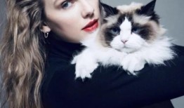 来见见本杰明·巴顿，泰勒·斯威夫特的猫和卡玛拉·哈里斯的支持者