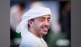 阿联酋外交部长祝贺戴维·卡梅伦被任命为英国外交事务大臣