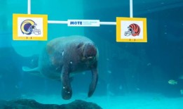 伯明翰市区周五发布空气质量橙色警报